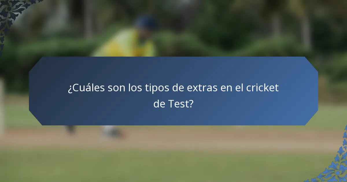 ¿Cuáles son los tipos de extras en el cricket de Test?