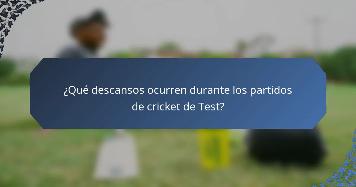 ¿Qué descansos ocurren durante los partidos de cricket de Test?